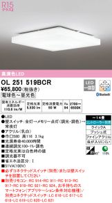 OL251519BCR