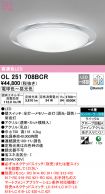 OL251708BCR
