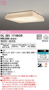 OL291171BCR