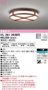OL291263BR