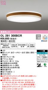 OL291300BCR