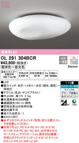OL291304BCR