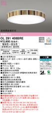 OL291408BRE
