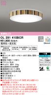 OL291410BCR