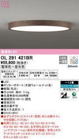OL291421BR