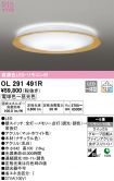 OL291491R