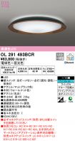 OL291493BCR