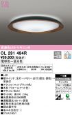 OL291494R