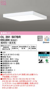 OL291507BR
