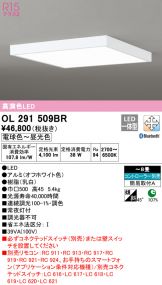 OL291509BR