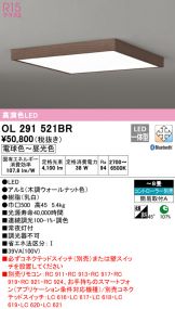 OL291521BR