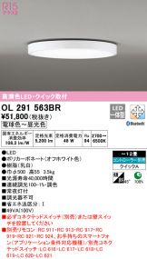 OL291563BR