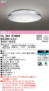 OL291579BR