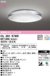 OL291579R
