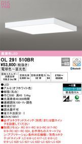 OL291510BR