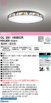 OL291160BCR