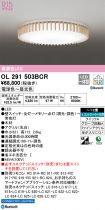 OL291503BCR