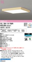 OL291517BR