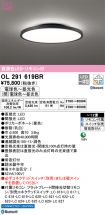 OL291619BR
