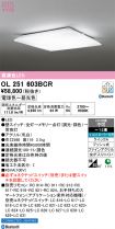 OL251603BCR