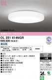 OL251614NGR