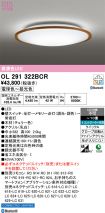 OL291322BCR