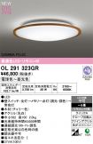 OL291323GR