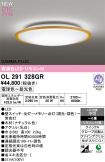 OL291328GR