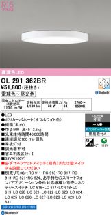 OL291362BR