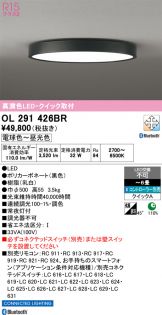 OL291426BR