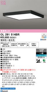 OL291514BR