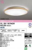 OL291557NGR