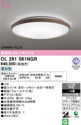OL291561NGR