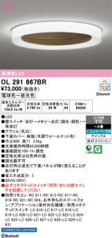 OL291667BR