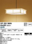 OP252369N