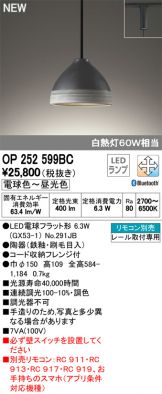 OP252599BC