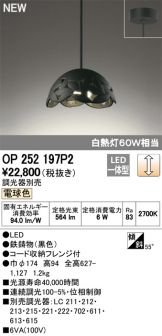 OP252197P2