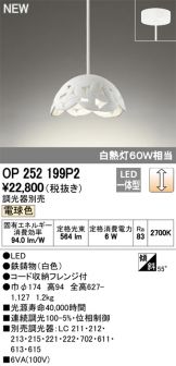 OP252199P2