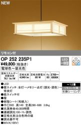 OP252235P1