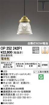 OP252242P1