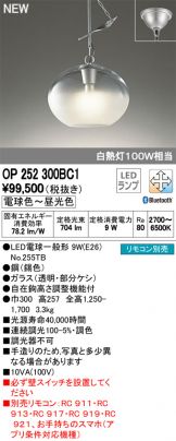 OP252300BC1