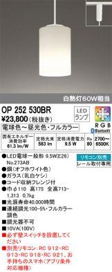 OP252530BR