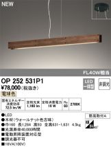 OP252531P1