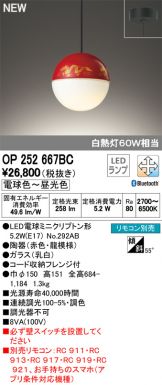 OP252667BC