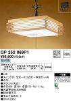 OP252069P1