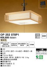 OP252070P1