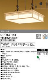 OP252113