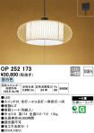 OP252173