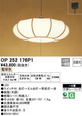 OP252176P1