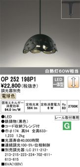 OP252198P1